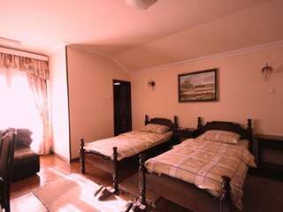 Отель Hotel Ambiente Подгорица Двухместный номер с 2 отдельными кроватями-2