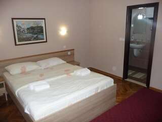 Отель Hotel Ambiente Подгорица Двухместный номер с 1 кроватью-11