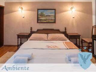 Отель Hotel Ambiente Подгорица Двухместный номер с 1 кроватью-12