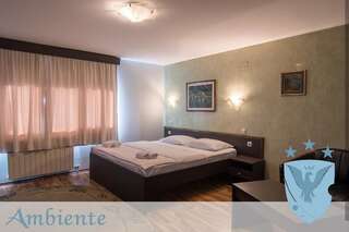 Отель Hotel Ambiente Подгорица Одноместный номер-1