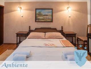 Отель Hotel Ambiente Подгорица Двухместный номер с 1 кроватью-1